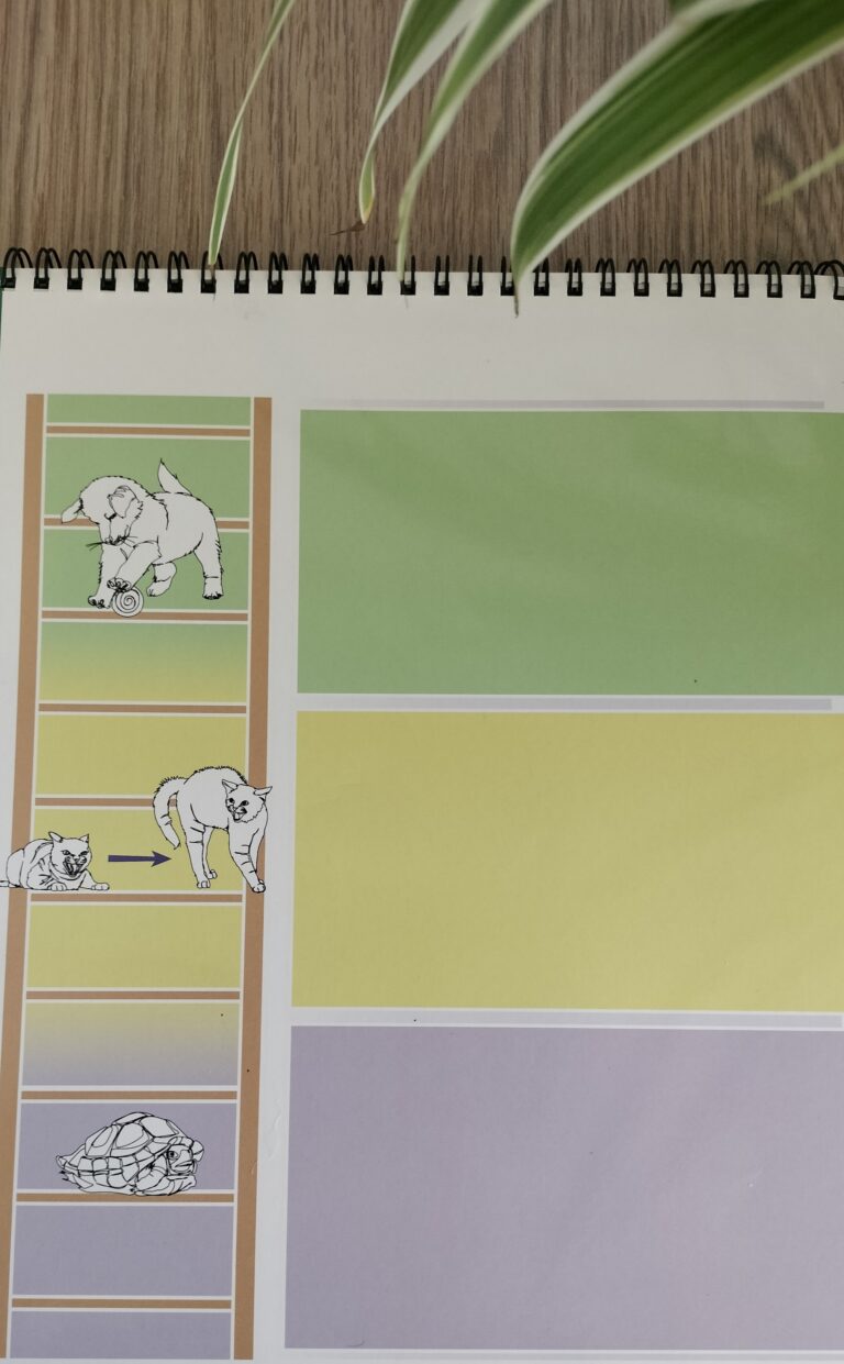 Zenuwstelsel VAAIana